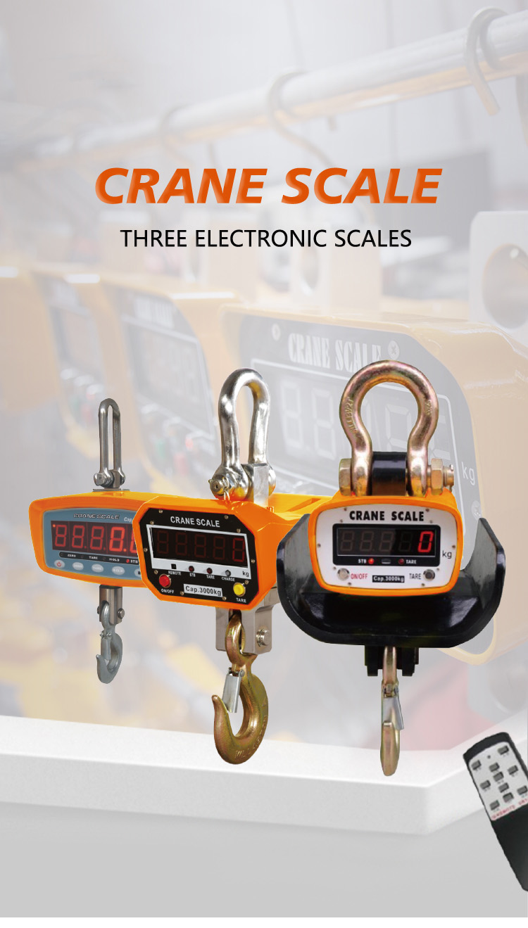 TOYO-INTL CRANE SCALE OCS MODEL